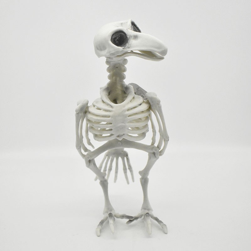 177689 HALLOWEEN DUCK SKELETON
