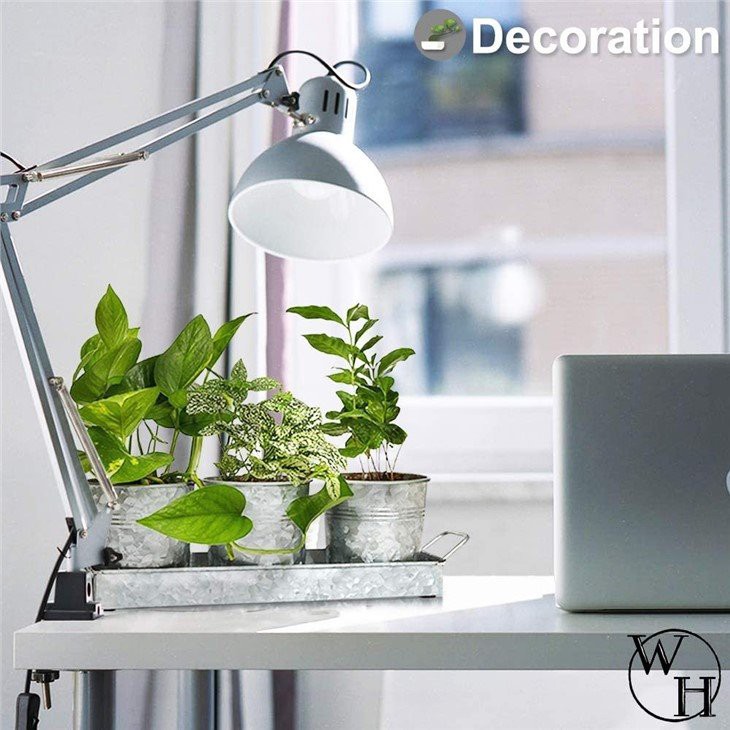 61OjGzSc4YL._AC_SL1000_