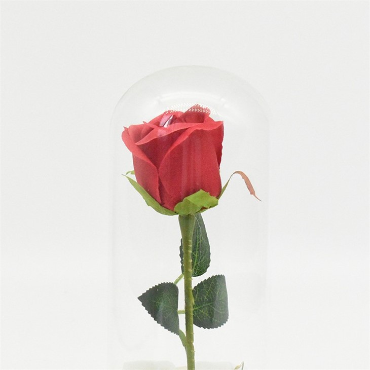ROSE WITH LIGHTS IN GLASS