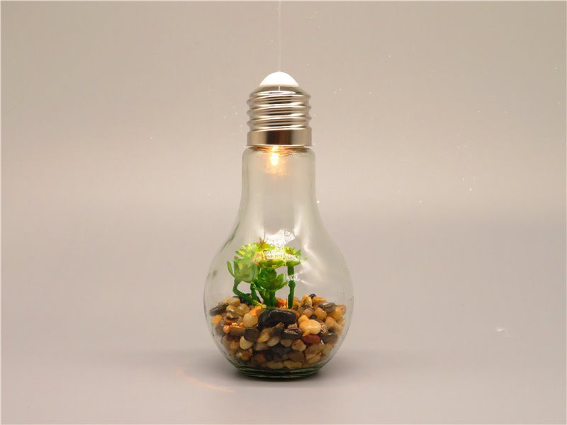 Light-up Terrarium