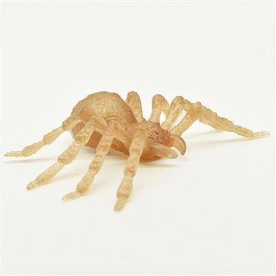 COLOR CHANGING LED SPIDER